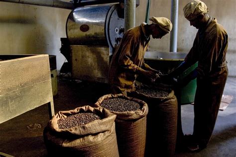Try our subscription coffee program! ethiopia-27: coffee in Ethiopia, 2004: feature stories:
