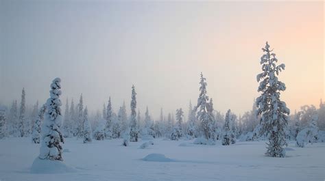 Im westen wird das land vom bottnischen meerbusen und im süden vom finnischen meerbusen, dem gegenüber estland liegt, begrenzt. Winter in Finnland Foto & Bild | jahreszeiten, winter ...