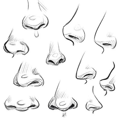 Nose Drawing Drawing Poses Portrait Drawing Drawing Tips Drawing