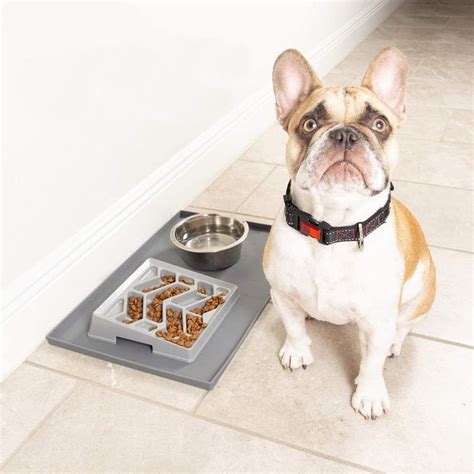 The 4 Best Dog Bowls For Flat Faced Dogs