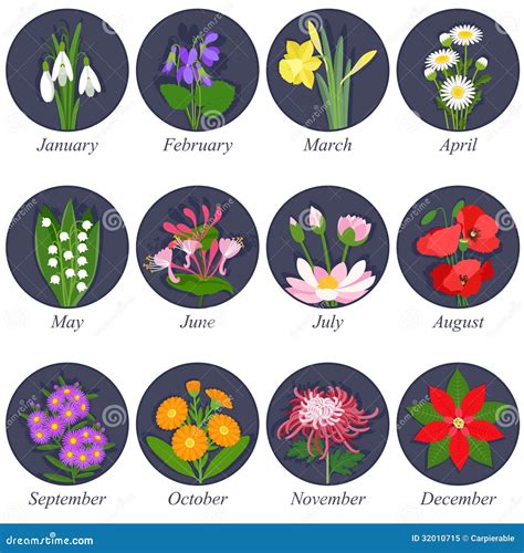 Flowers Of The Month Chart