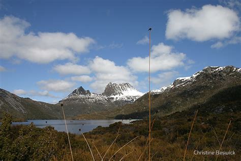 Cradle Mountain Through Button Grass Central Highlands Tasmania By
