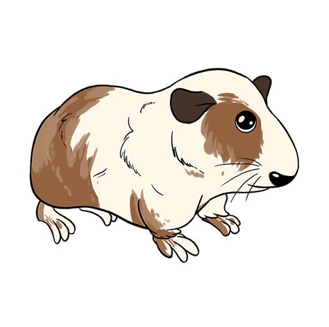 How To Draw A Guinea Pig Really Easy Drawing Tutorial