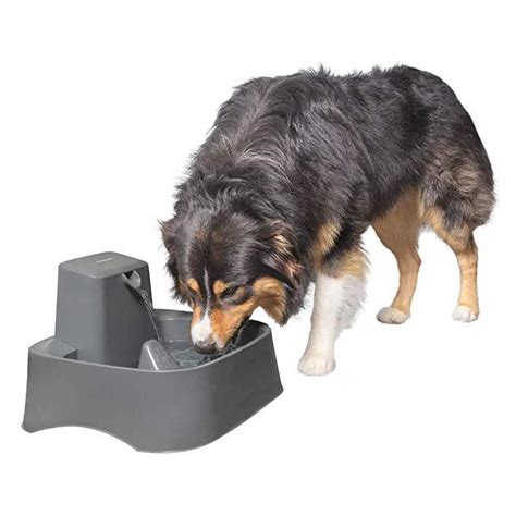 Maybe you would like to learn more about one of these? Amazon.com : PetSafe Drinkwell Big Dog Water Fountain ...