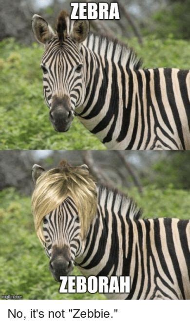 17 New Funny Zebra Meme Photo 2021