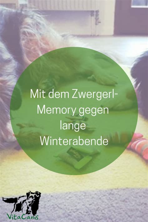 Zwergerl Memory Vitacanis Online Hundetraining Gehirnzelle