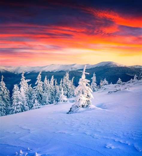 Colorful Winter Scene In Snowy Mountain Stock Image Image Of Snow