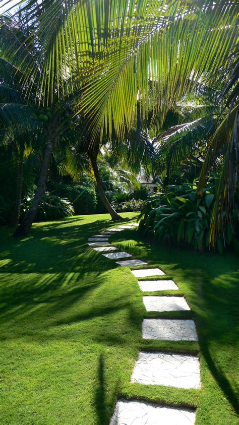 Caribbean Garden Tropical Landscape Miami By Craig Reynolds