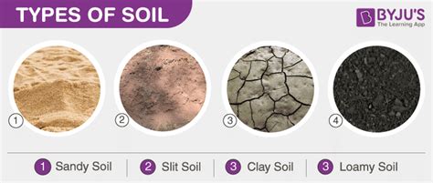 4 Types Of Soil