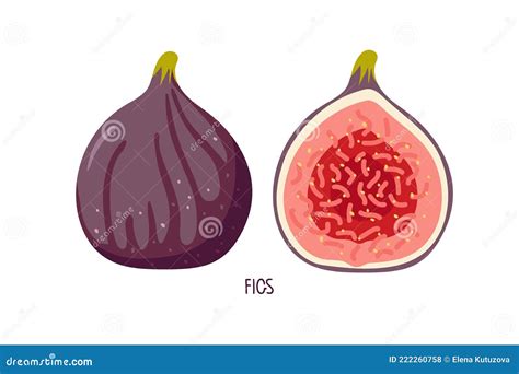 Two Figs Whole And Half Isolated On White Summer Tropical Fruit For