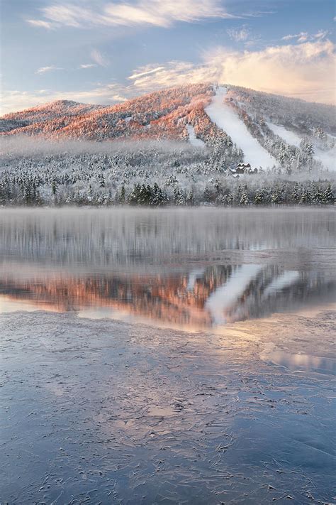 Reflecting On The Beginning Of Winter Photograph By Darylann Leonard