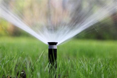 The simple lawn sprinkler in this photo can pour out a lot of water. Tips for Watering New Grass Seed - How Often to Water