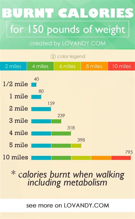 Pin Af Tati Lovandy På How To Count Calories Burned Walking