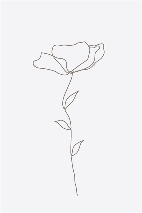 Flower Flower Line Drawings Line Art Flowers Abstract Line Art
