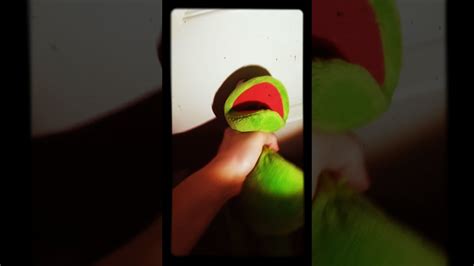 Kermit Dies Youtube