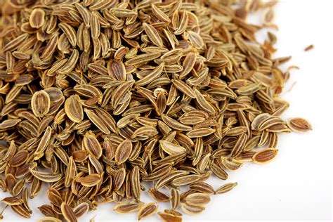 Dill Seed Exporters from India - NK Agro