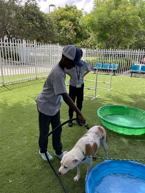 Little Pups Kid's Club - Humane Society of Broward County