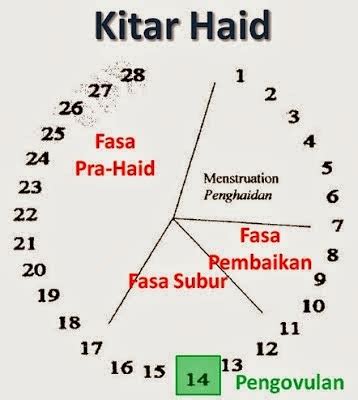 Perempuan usia subur harus mengonsumsi 400mcg asam folat per hari. Tips Ketahui Waktu Subur Anda | Pengedar Shaklee Kota ...