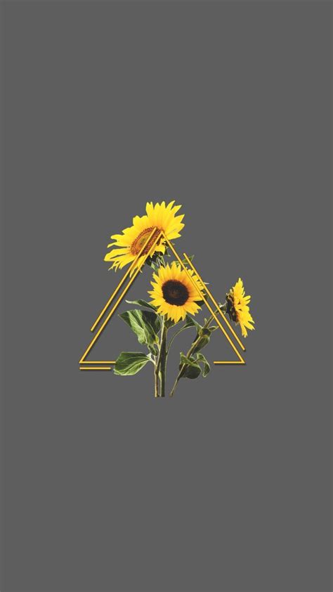 Aesthetic Iphone Wallpaper Artsy Sunflower Sunflower