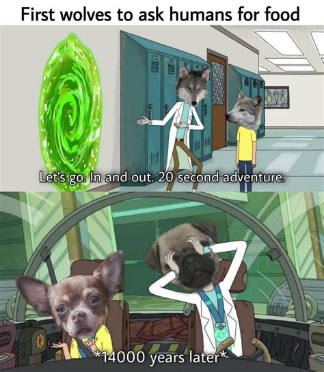 Well At Least Now We Have Dogs I Guess Rrickandmorty