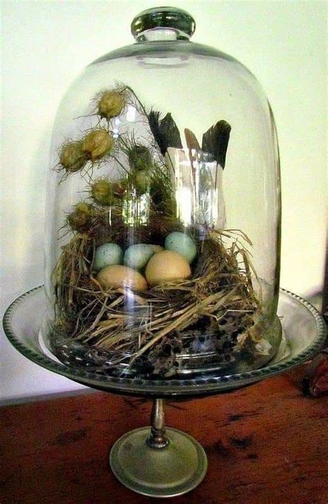 Pin By Sharon Carter On Bird Nest Craft In 2020 Cloche Decor Spring