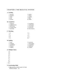Flat or rounded areas that allow for joint formation. chapter 17: the female reproductive system - The ICD