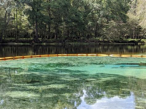 Springs and Lakes - Lake City