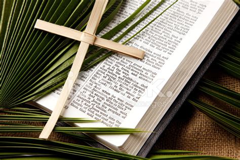 Palm Sunday Quotes From The Bible Palm Sunday Scripture Quotes To