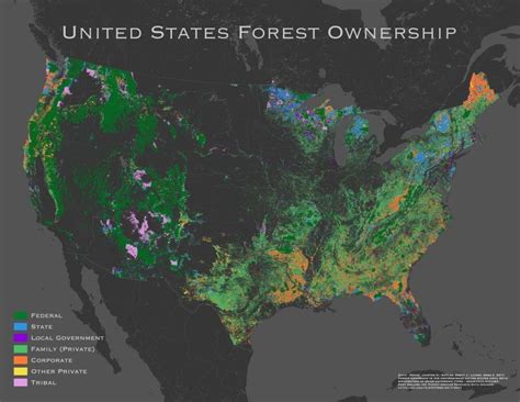 Where is the only tropical forest in the United States? 2