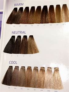 Wella Illumina Hair Colour Review Shades Photos Pricepetite Peeve