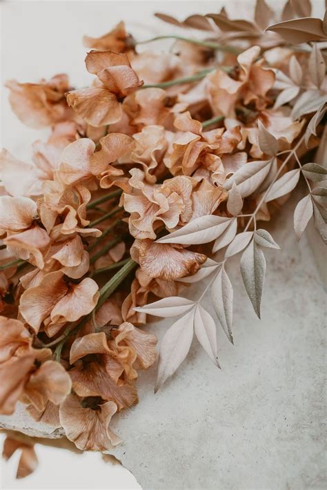 February 17, 2021april 1, 2020 by admin. Modern Romance in Perth - The Lane | Flower aesthetic ...