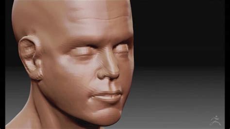 Zbrush Speed Sculpt Human Head Youtube