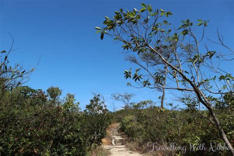 The Jardine’s Lookout Hike – Hong Kong | Travelling With Nikki