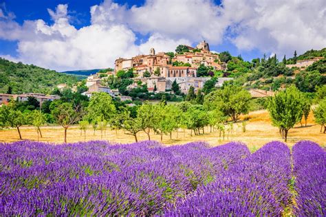 Sault Lavender Fields Half Day Guided Tour From Avignon Musement