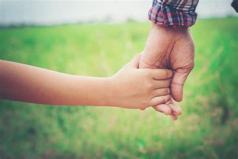 5 golden rules for making child contact work well after ...