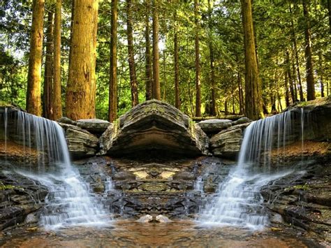 Trees Creek Forest Waterfall Stones Wallpapers Hd