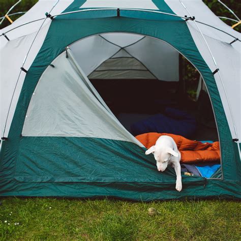 The Best Car Camping Tents Of