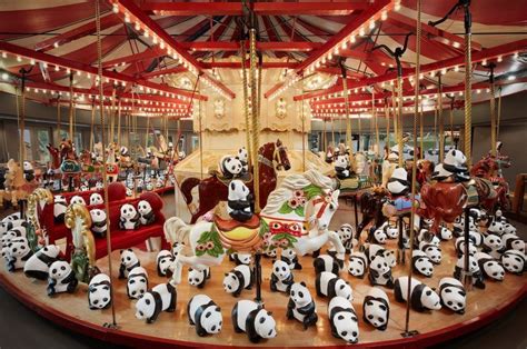 A Massive Art Display Of 888 Pandas Is Coming To Vancouver This Summer