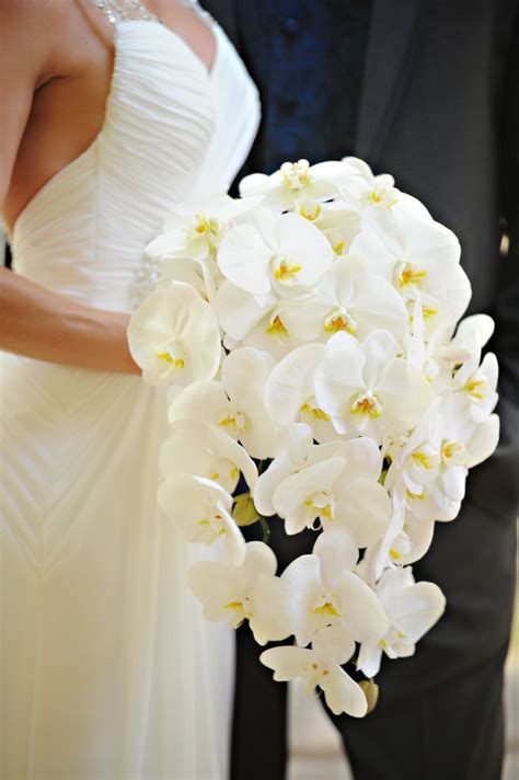 Cascading White Cymbidium Orchid Bouquet Orchid Centerpieces Wedding Orchid Bouquet Wedding