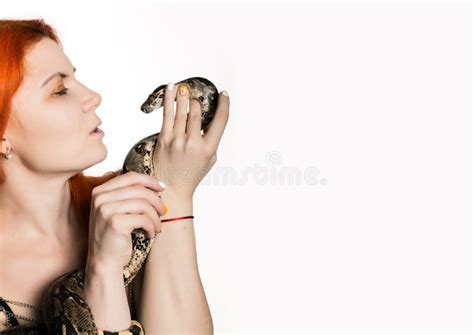 Redhead Woman Holding Snake Close Up Photo Girl With Pygmy Python On A