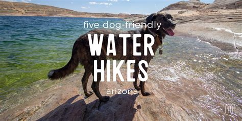 Always open · delivery, online services. 5 Dog-Friendly Water Hikes in Arizona — Arizona Hikers ...