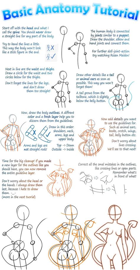 Basic Manga Anatomy Tutorial By Tiiara On Deviantart Анатомия уроки