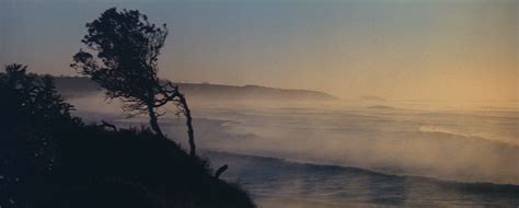 The film was directed by colin eggleston and stars john hargreaves and briony behets. Long-Weekend-091