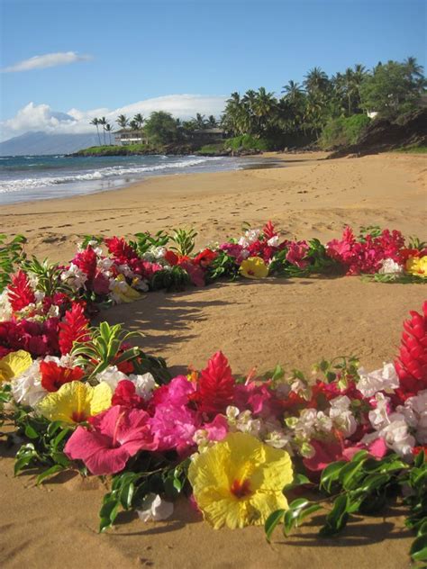 Tropical Beach With Images Tropical Flowers Hawaiian Flowers