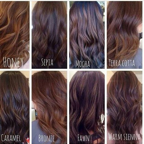 Highlights in a muted shade of burnt orange stand out beautifully against dark brown hair and give off a cute and quirky vibe. Pin on Beauty & Hair