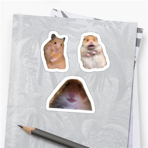 Hamster Memes Sticker By Art By Lace Redbubble