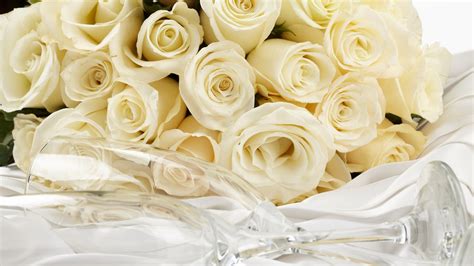 White Roses Flower Wallpaper High Definition High Quality Widescreen