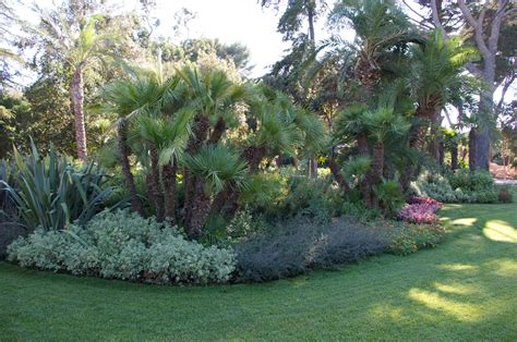 Massif Avec Ambiance Exotique Amenagement Jardin Paysager Jardins