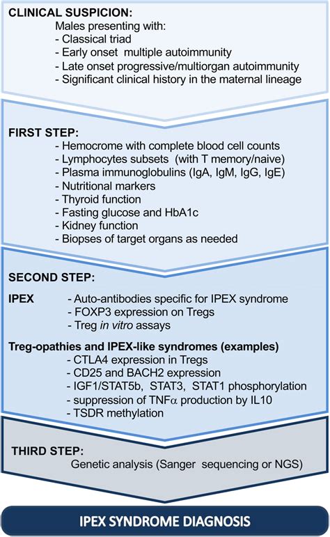 Diagnostic Steps Driving Toward Ipex Syndrome Ig Immunoglobulin