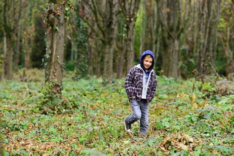 Every Day Is A Journey Little Boy Walk In Woods Little Boy Enjoy